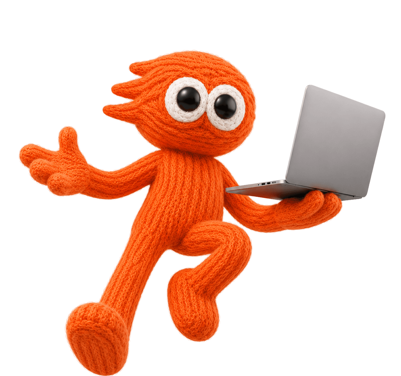 Seosorted mascot holding a laptop